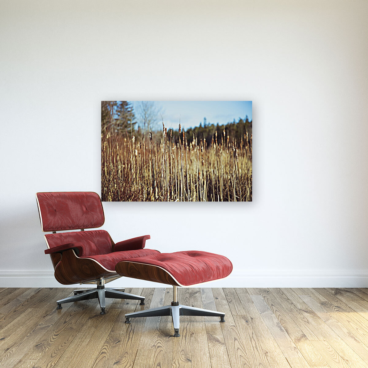 Reeds Reproduction