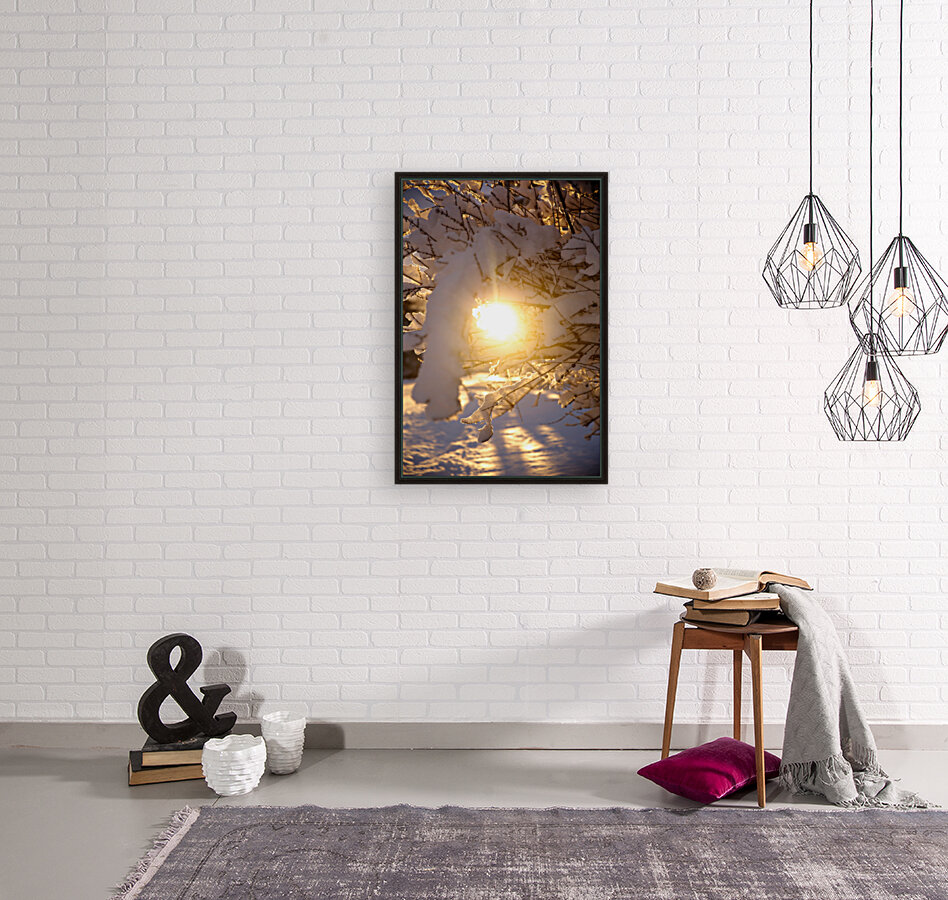 Sunlight and snow Reproduction