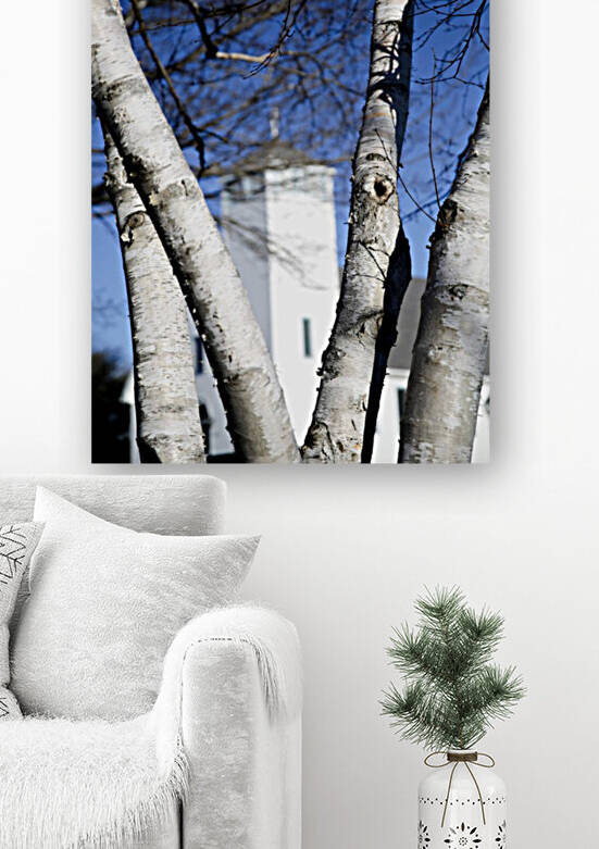 St. Andrews Anglican Church and Birch Tree by Anka G