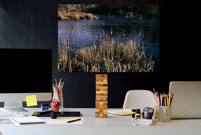 The Mill Pond 4 by Anka G
