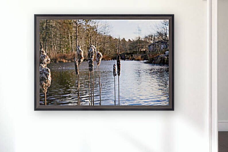 The Mill Pond 3 by Anka G