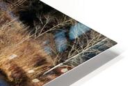 The Mill Pond HD Metal print