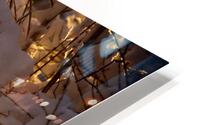 Sunlight and snow HD Metal print