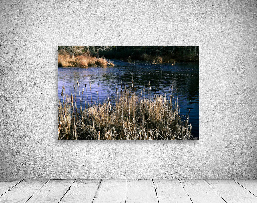 The Mill Pond 4 Wall Preview
