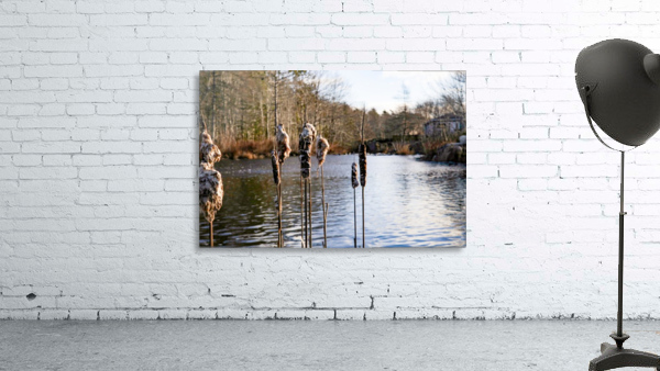 The Mill Pond 3 Wall Preview
