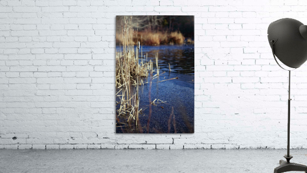 The Mill Pond 2 Wall Preview