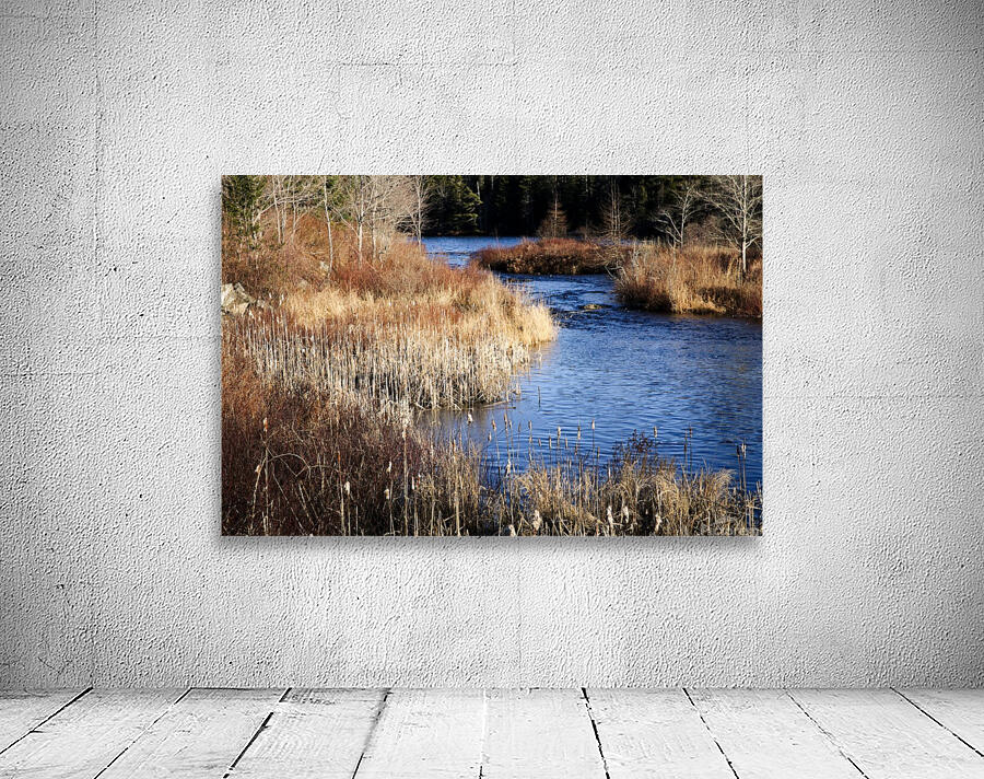 The Mill Pond Wall Preview