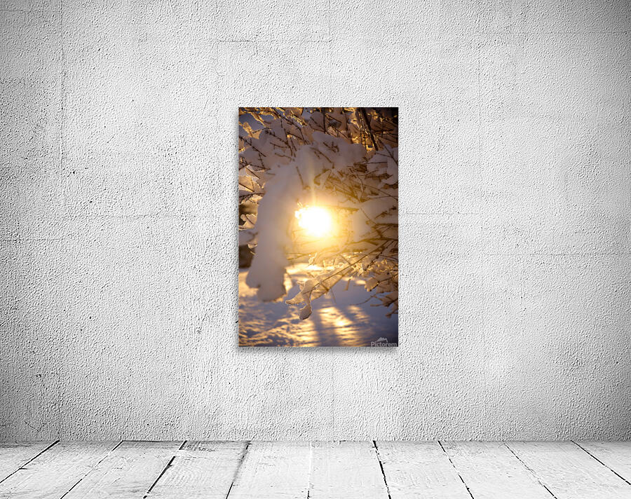 Sunlight and snow Wall Preview
