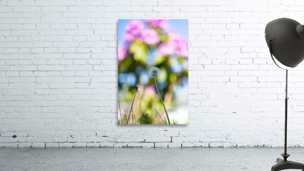Flowers5 Wall Preview