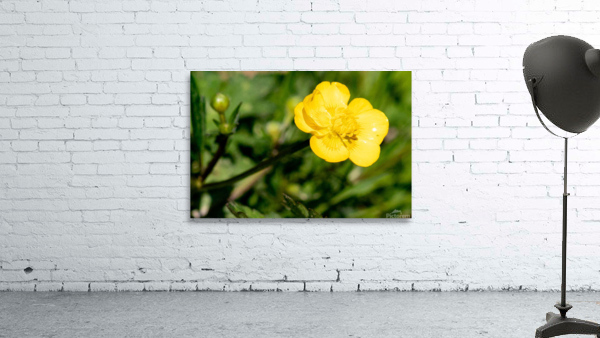 Flowers1 Wall Preview