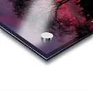 DSCN0470 Acrylic print