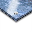 DSCN6820 Acrylic print