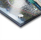 DSCN6135 Acrylic print