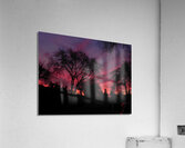 DSCN0470 Acrylic Print