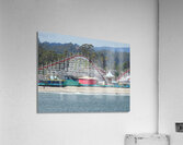 DSCN6135 Acrylic Print