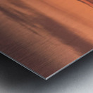 DSCN2405 Metal print