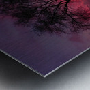 DSCN0470 Metal print