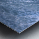 DSCN6820 Metal print