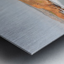 DSCN6780 Metal print