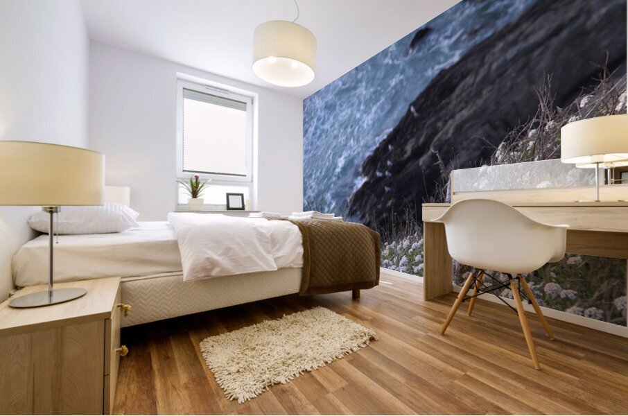 DSCN6820 Mural print