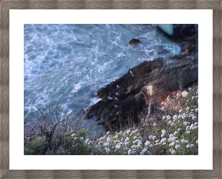 DSCN6820 Picture Frame print