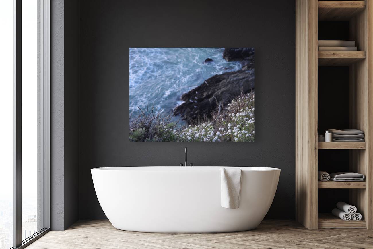 DSCN6820 Reproduction