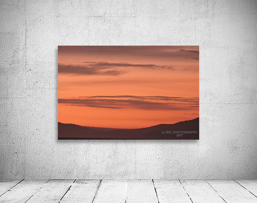 DSCN2405 Wall Preview