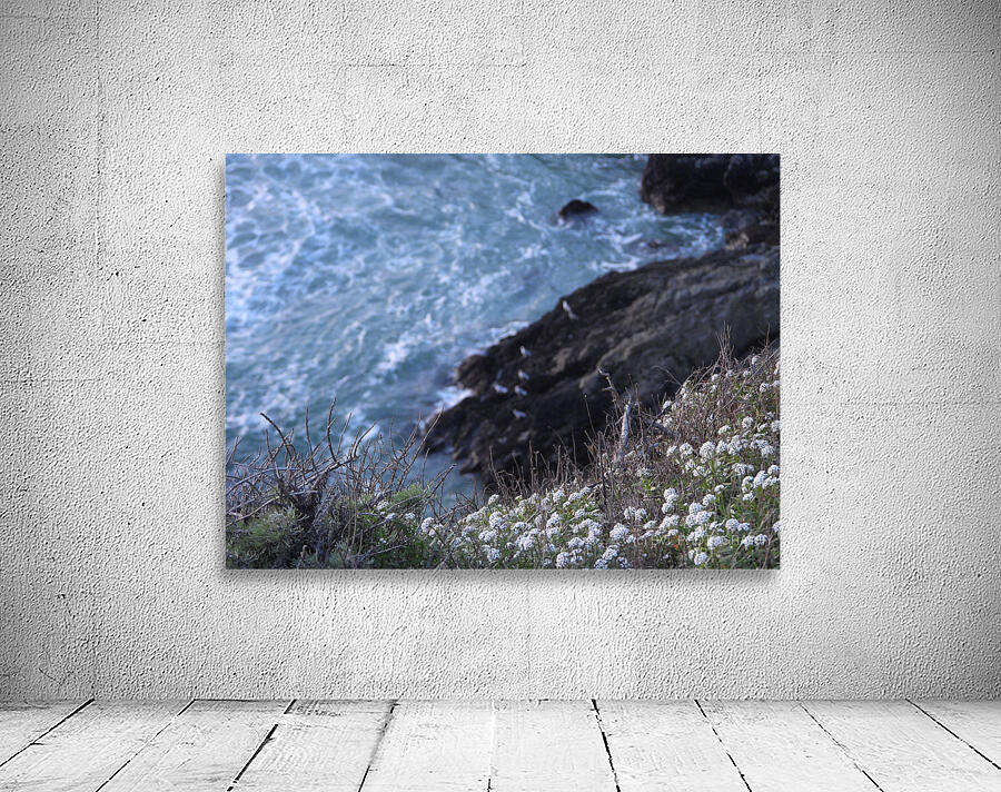 DSCN6820 Wall Preview