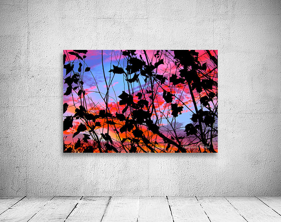 Colorful Sunset Wall Preview