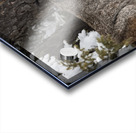 Its a Lynx Wunderland Acrylic print