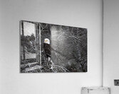 DESPERADO - The Eagle Acrylic Print