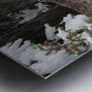 Its a Lynx Wunderland Metal print