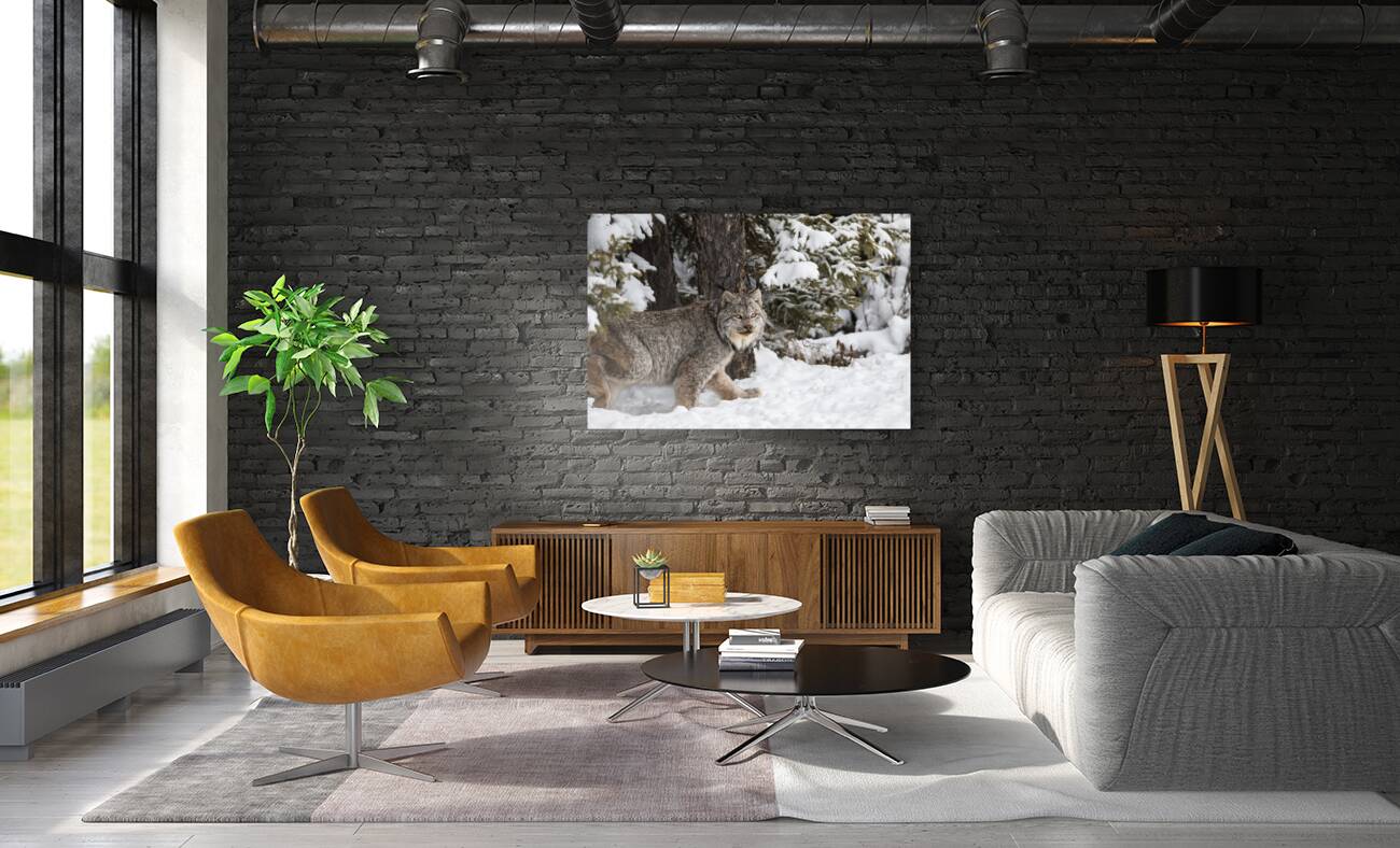 Its a Lynx Wunderland Reproduction