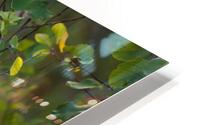 Whaz Up HD Metal print