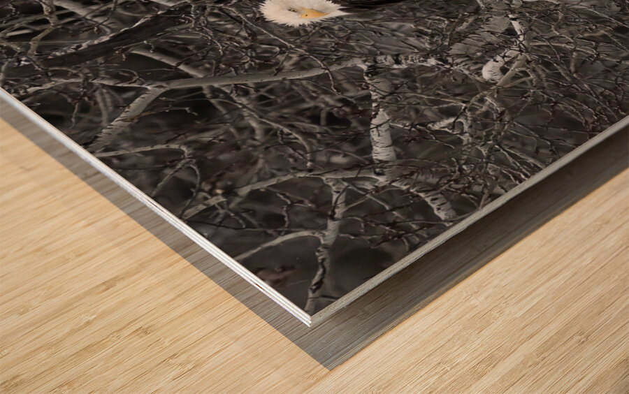 DESPERADO - The Eagle Wood print