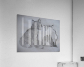 Fox Pair Acrylic Print