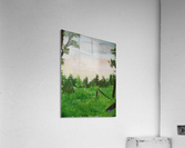 Peace Acrylic Print