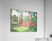 Maine Elk Acrylic Print