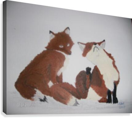 Red Fox pair Canvas Print