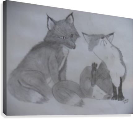 Fox Pair Canvas Print