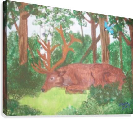 Maine Elk Canvas Print