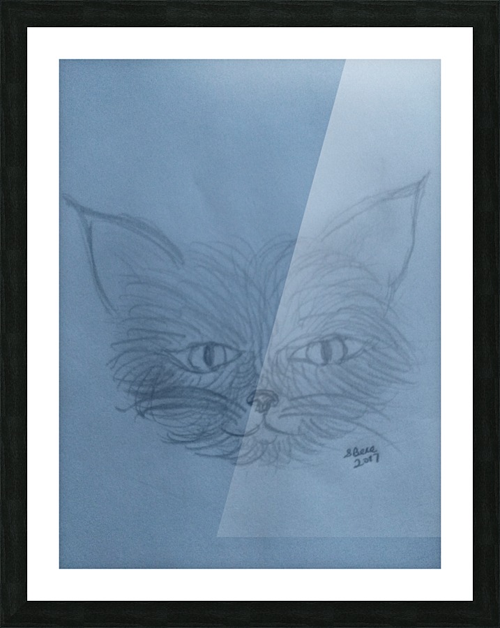  Tirage d’art