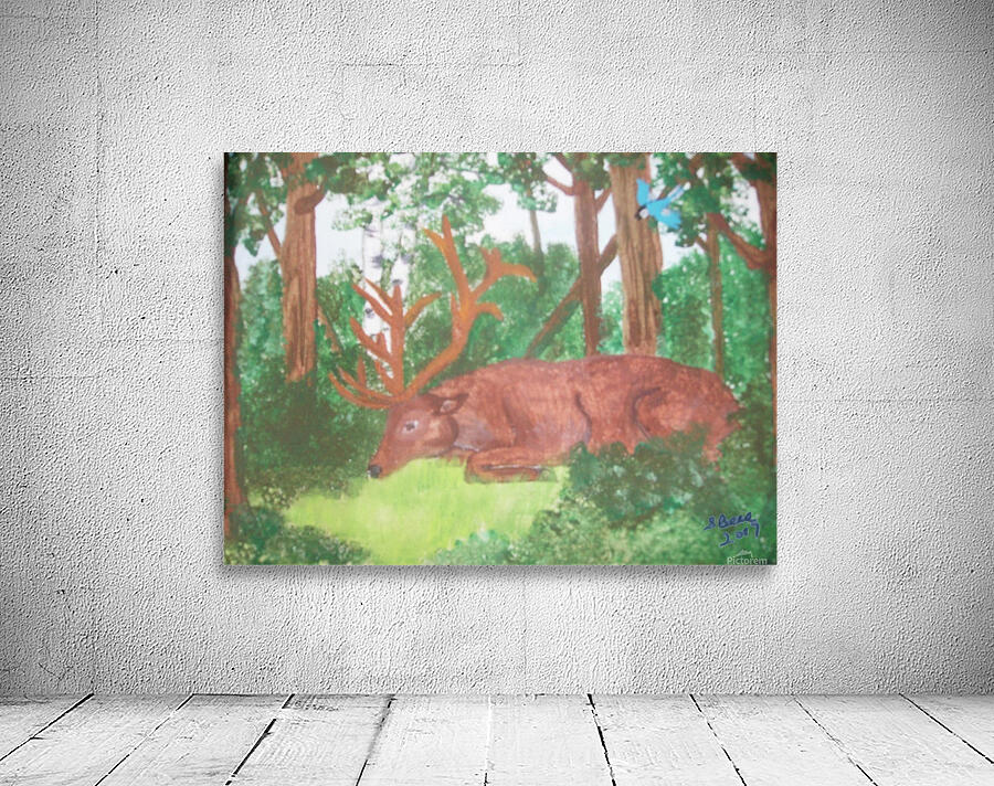 Maine Elk Wall Preview