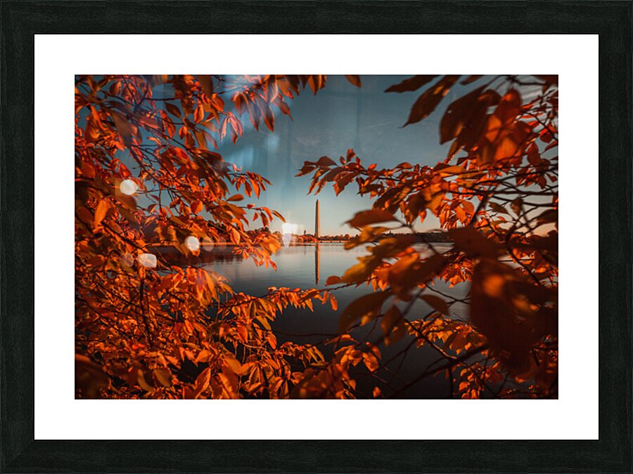 FALL THROUGH II Picture Frame print
