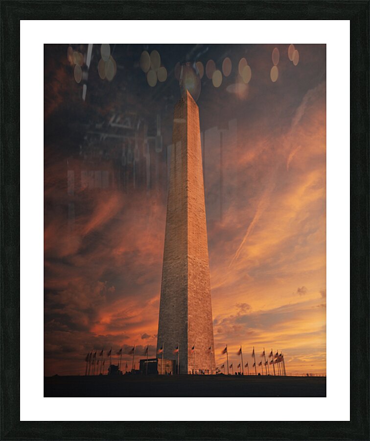 THE NEEDLE Picture Frame print