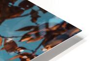 FALL THROUGH III HD Metal print