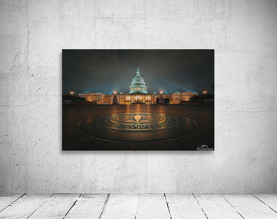 DEMOCRACY SEVERED Wall Preview