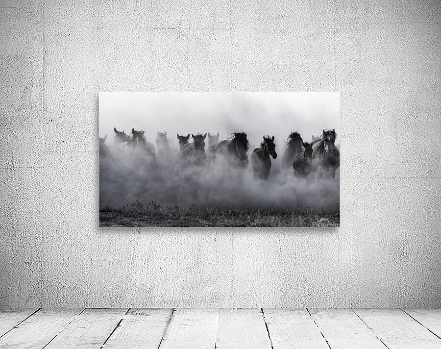 Mustangs Wall Preview