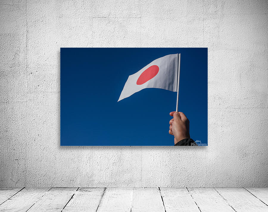 Japanese National Flag Wall Preview