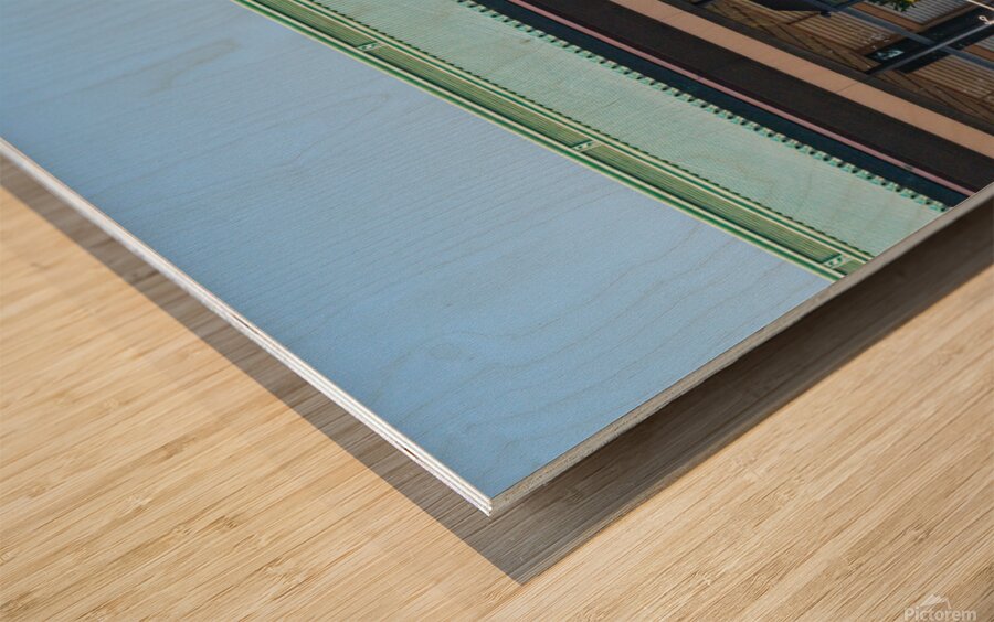 Imperial Family of Japan Wood print